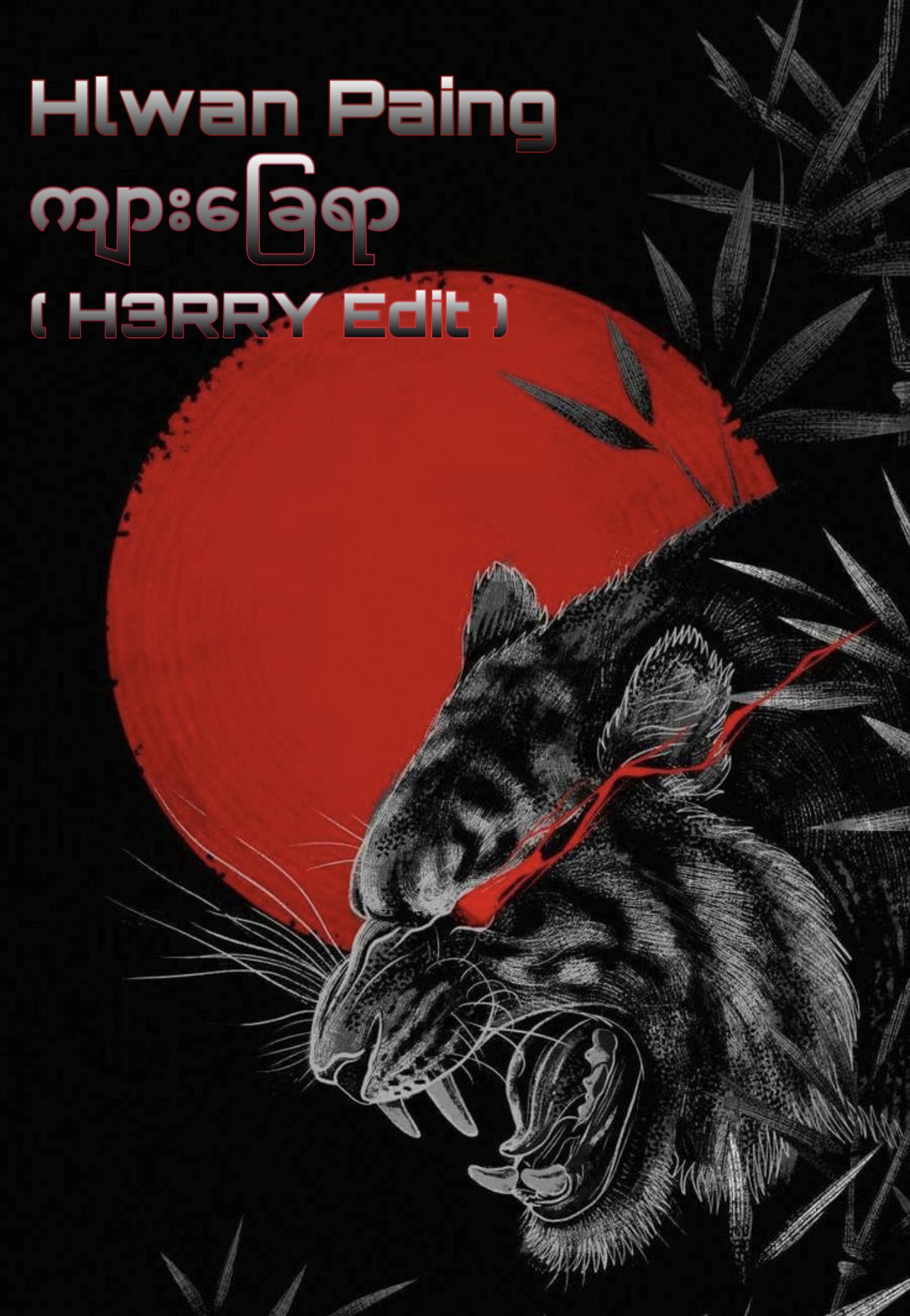 Hlwan Paing – Kyar Chay Yar ( H3RRY EDIT )✅ Free DL = Buy ✅