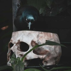 Playlist pt.2