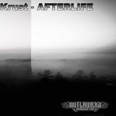 Afterlife
