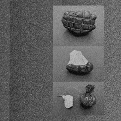 SHILO RABIN / SHONOT 0.7