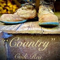 Country Life - 10/3/20, 12.45 PM.m4a