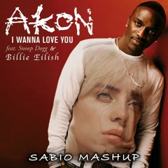 Akon, Snoop, Billie Eilish - Therefore I Wanna Love You (SABIO MASHUP)