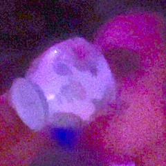 drink earl grey every day