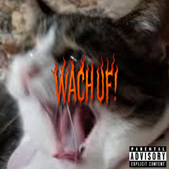 WACH UF | feat. UsleBusle