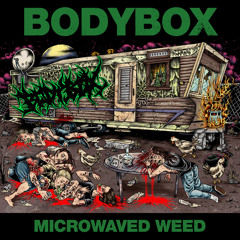 Bodybox-Doublewide Stomp