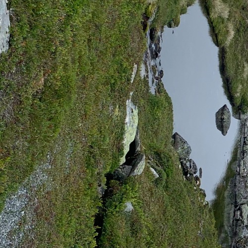 Tangerine live on Refuge Radio x Patterns of Perception 15.07.23
