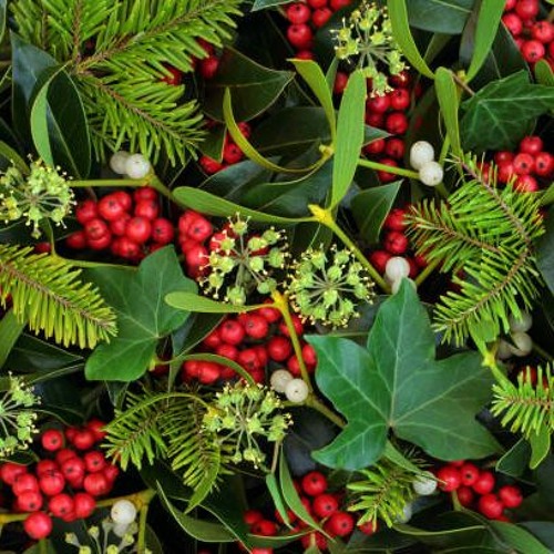 Holly And The Ivy
