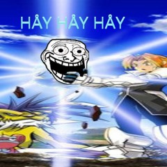 HÅY HÅY HÅY
