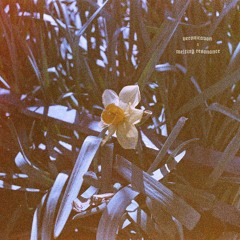 veronicavon x Melting Resonance - Immortal Devotion