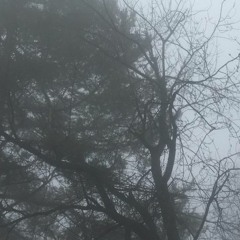 baby.why.u.lie.so.much prod. salvidrg