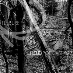 Podcast 022 - Tulbure (RO)