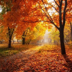 Autumn leaves jazz quartet