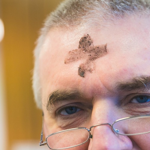 Aschekreuz To Go 2024