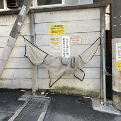 のんびり