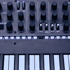 AKORG M