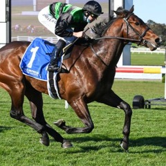 Underwood Stakes Day Punting Preview