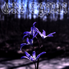 Puritan Prince of Pain (ORB THAIJA Remix vers.2)