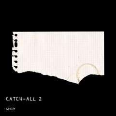 Catch-all 2
