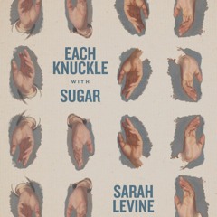 Each Knuckle With Sugar by Sarah Levine