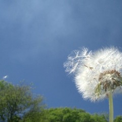 Winds Of Change