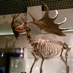 i told you prod.Tekilla Beats (DEMO)