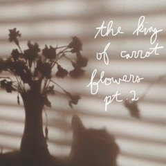 the king of carrot flowers pt. 1 (cavetown cover)