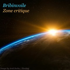Zone critique
