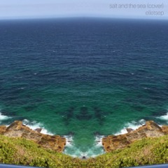 salt and the sea (Cover)