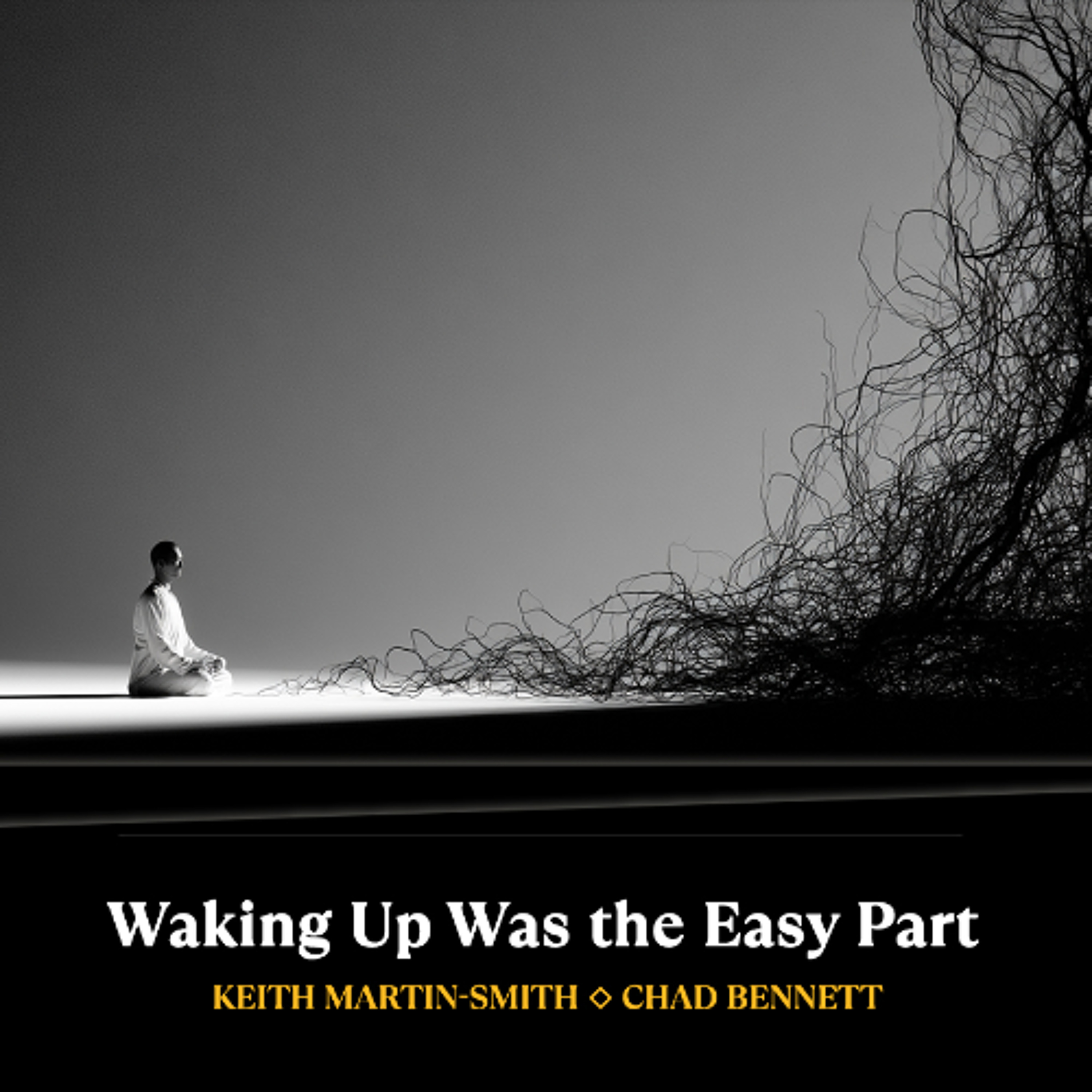 Waking Up Was the Easy Part (Chad Bennett & Keith Martin-Smith) episode artwork