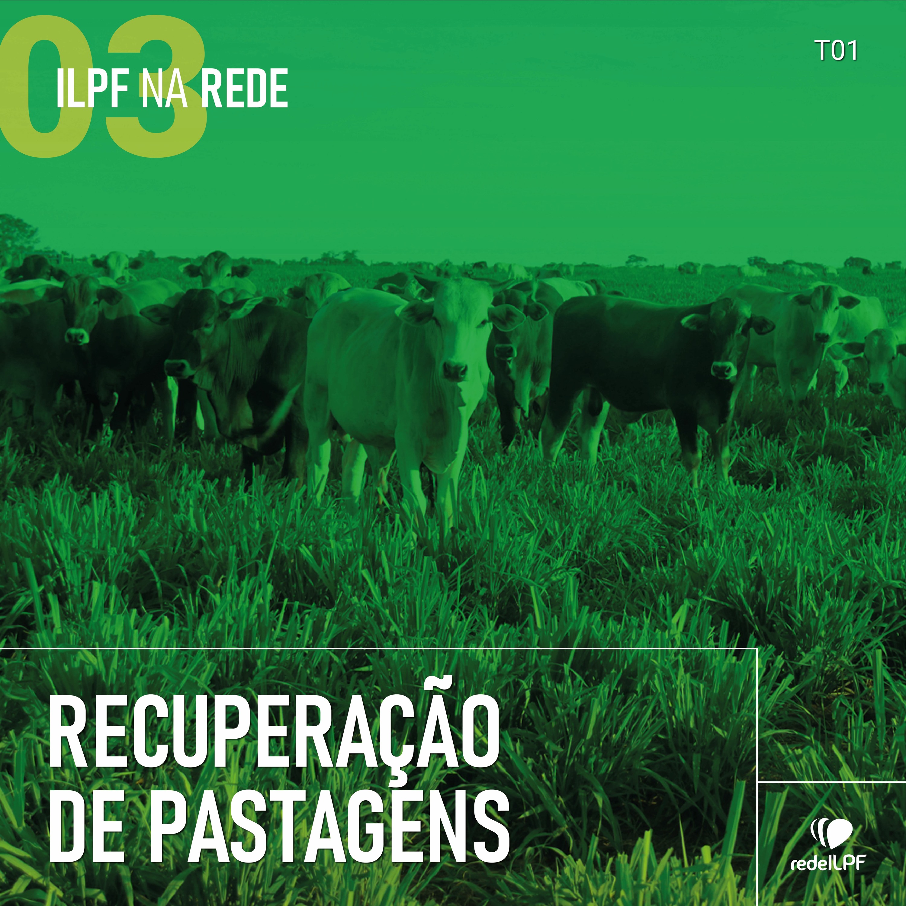 ILPF Na Rede