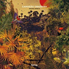 Camarão Orkestra - Nação África - FVR162 (Snippets)