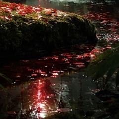 she doesn’t want me