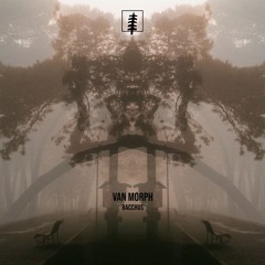 NYP Release | Van Morph - Bacchus (Original mix)
