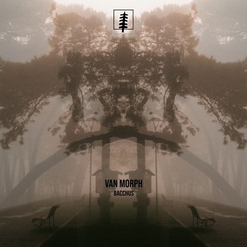 NYP Release | Van Morph - Bacchus (Original mix)