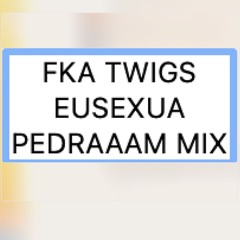 FKA TWIGS EUSEXUA - PEDRAAAM MIX