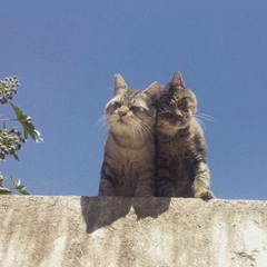 منك العذر لو كنت زعلان تامر وانا لك قلت لبيك ♡︎