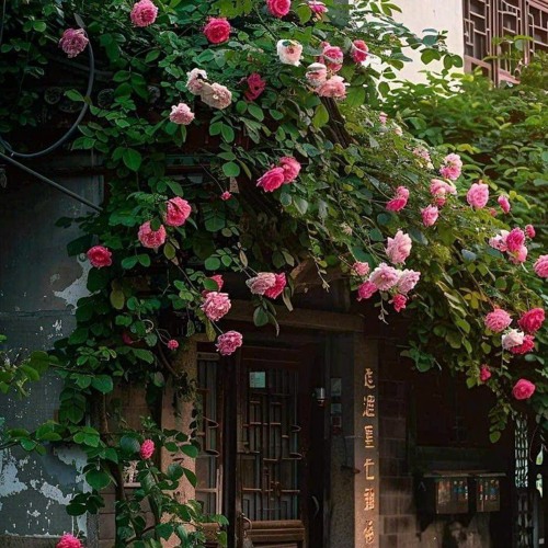 Sinh Ra Đã Là Thứ Đối Lập Nhau - NB Remix ｜