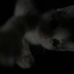 тебе это не нужно - жанулька