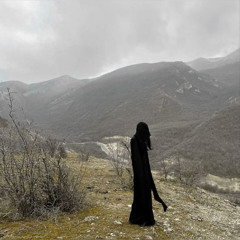 Hallowed + Trisss - Laylow (hallowed) (@bl4nk.radio)