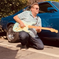 Have guitars will travel