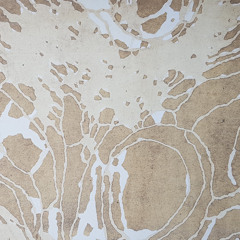 NAGEN - biom (snippet)