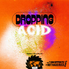 Dropping Acid (HOTDISC Remix)