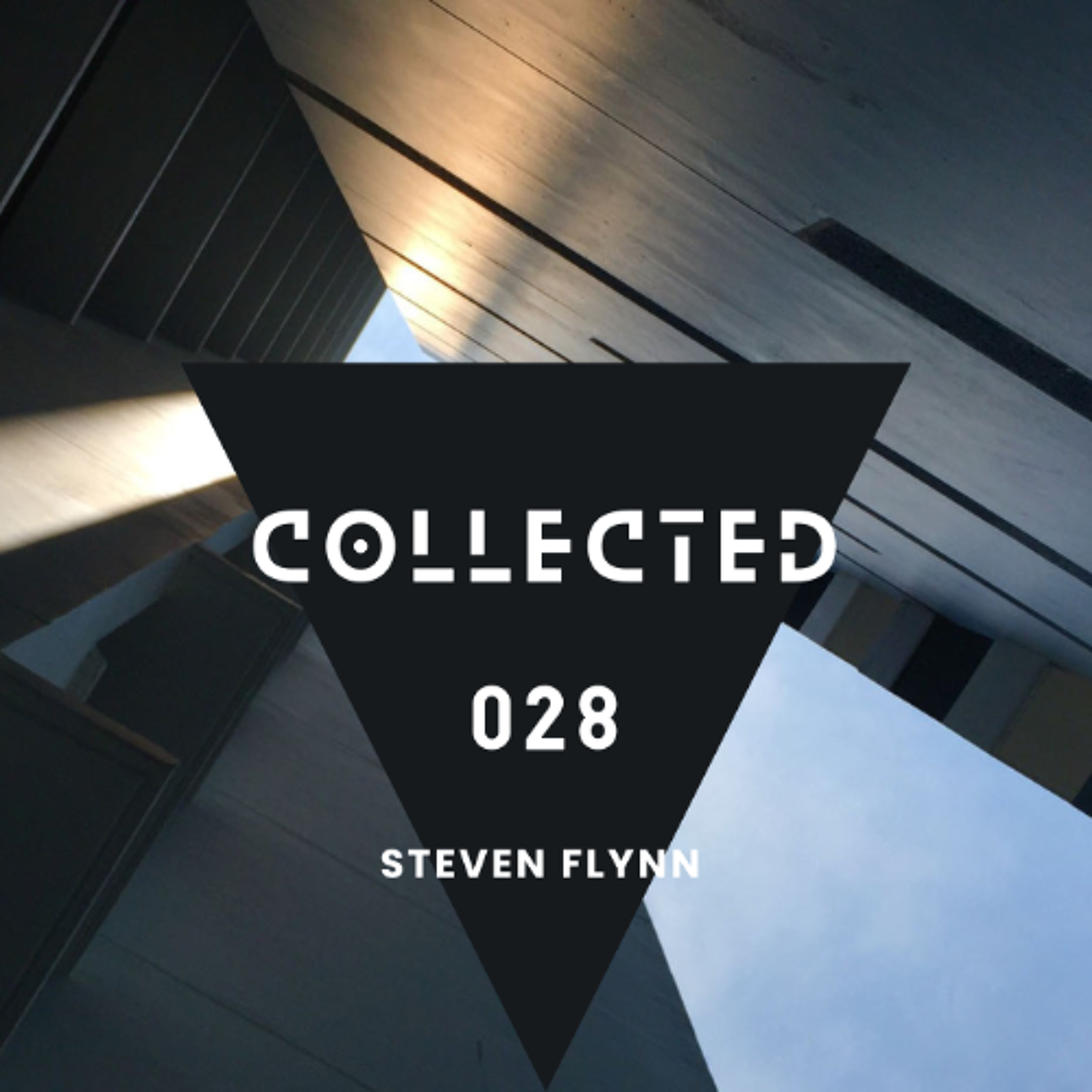 This Is Steven Flynn