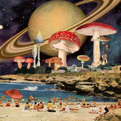 VINAHOUSE 2025 -MUSHROOM SPACE 920VN
