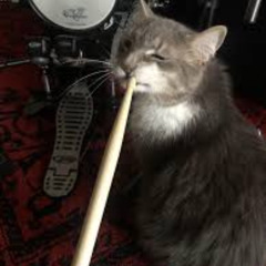 VR Psychosis Dark DnB/Schranz Hard Techno Mix 11.15.25