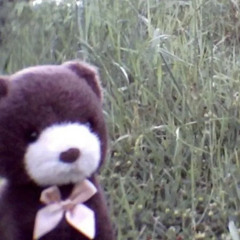 linger (xanganistan x mimics gate)