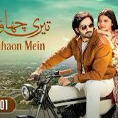 Teri Chhaon Mein [ OST ] - HUM TV  Full Drama Song Sehar Gul KhanOSTURDU