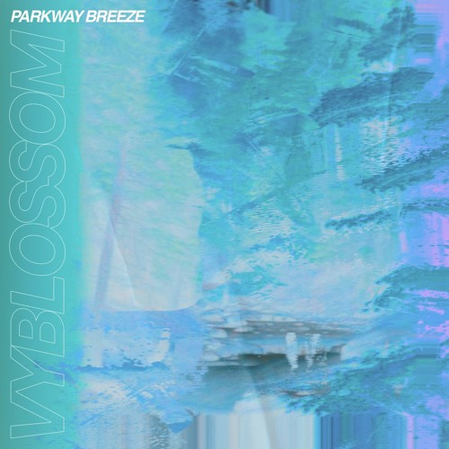 Vyblossom - Colfax Shuffle (Simic Records Premiere)