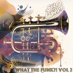 What The Funk?! (Volume 2)