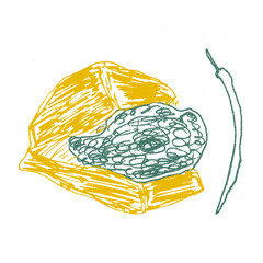 ved maddison - ved vada pav